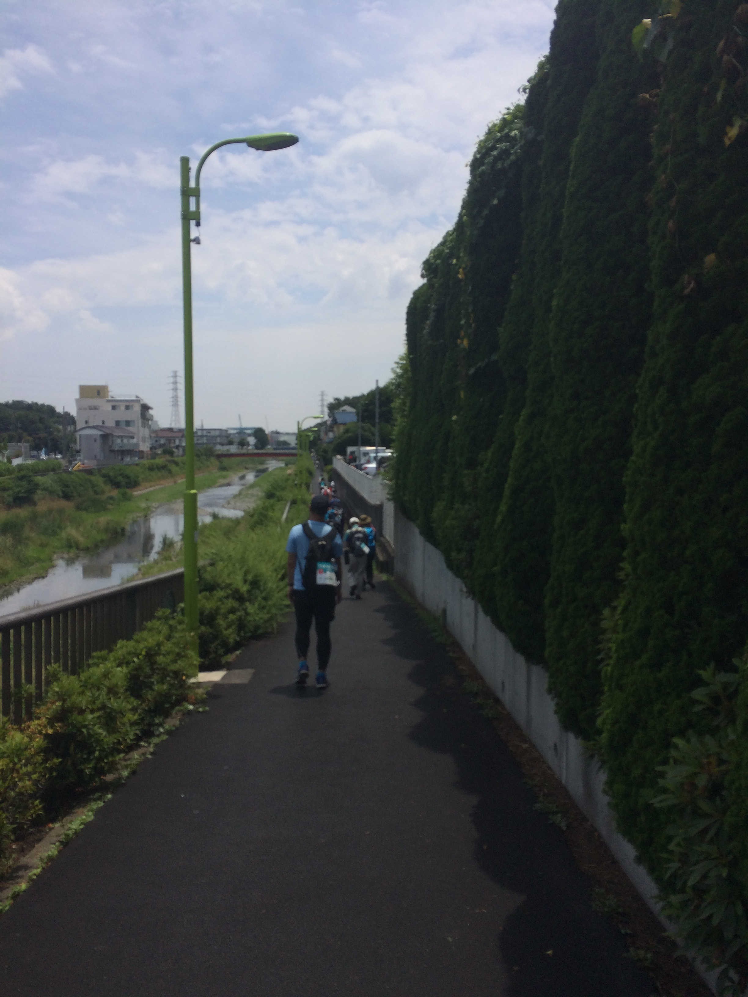 野川　遊歩道